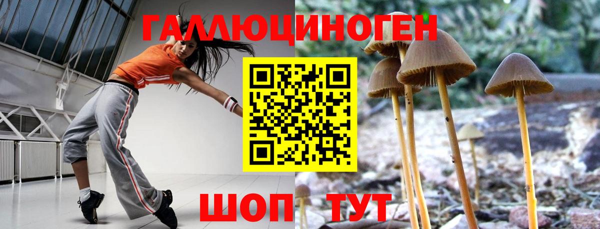 Мариинск  даркнет сайт  Вход с VPN  Псилоцибиновые грибы Psilocybe 